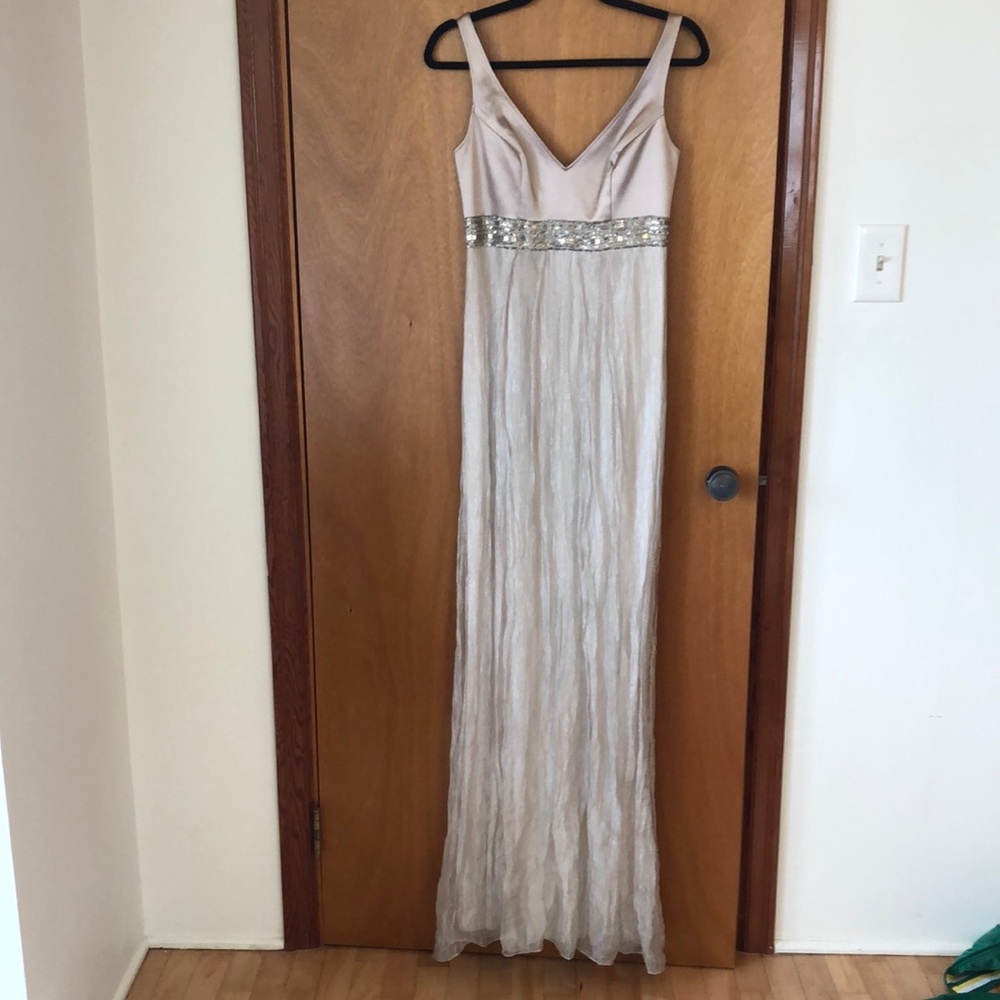 Bianca Nero champagne gown.  Grecian style.  No  size listed but fits like S.